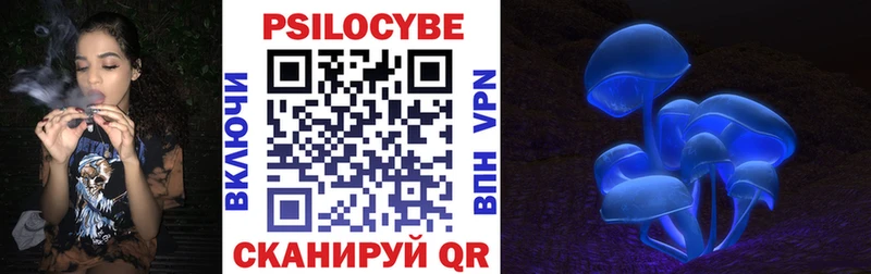 Галлюциногенные грибы Psilocybe  Горячий Ключ 